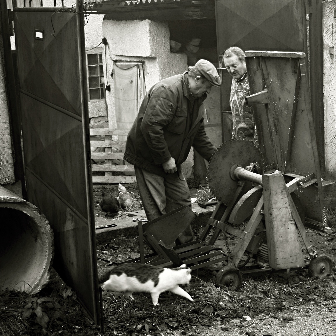 pred zimou-streetphoto 1